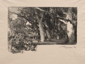 Noon in the Woods