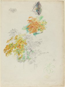 Studies of Trees by Auguste Renoir