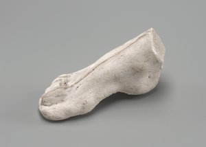 Right Foot