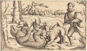 Bear Hunt by Augustin Hirschvogel
