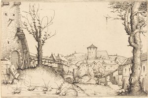 Courtyard of a Castle by Augustin Hirschvogel