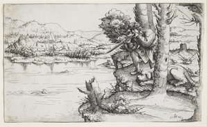 Duck Shooting with Firearms by Augustin Hirschvogel