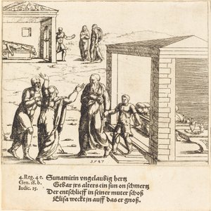 Elisha Raises the Son of the Shunammite by Augustin Hirschvogel