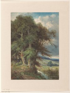 Tall Trees Along a Stream by Augustin Taurel