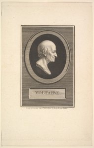 Portrait of Voltaire, 1801 by Augustin de Saint Aubin