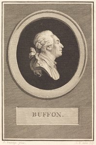Buffon by Augustin de Saint Aubin after Piat Joseph Sauvage