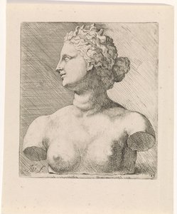 Bust of Venus de