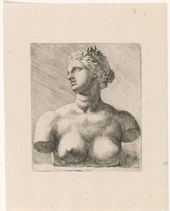 Bust of Venus de