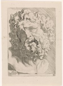 Head of Laocoön