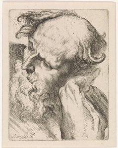 Head of an Old Man (Joseph)