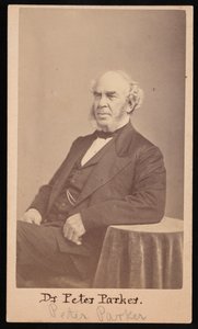 Portrait of Peter Parker 1804-1888, 1869 by Augustus Marshall