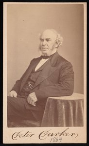 Portrait of Peter Parker by Augustus Marshall