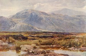 Cader Idris