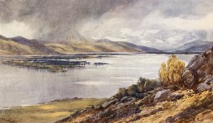 Loch Maree