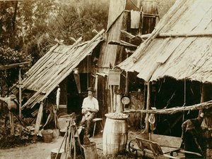 Australian prospector, c.1880s