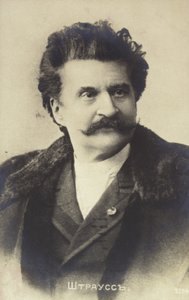 Portrait of Johann Strauss II by Austrian School