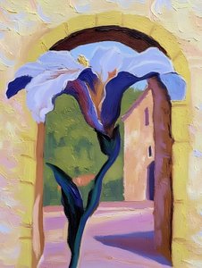 Sunny Archway Iris View