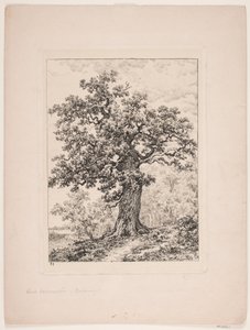 Niels Ebbesen