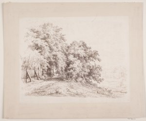 The Path by Trees and Meadows