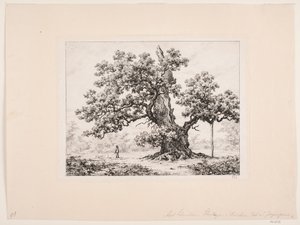 The Stork Oak, Jægerspris by Axel Schovelin