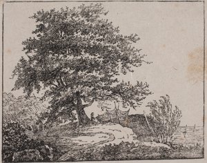 Tree on a Slope by the Sea
