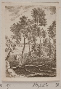Forest Scene by B. Flügge