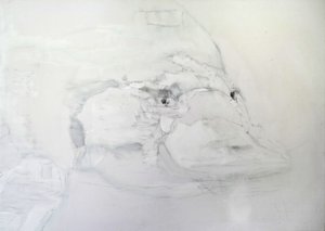 Platypus