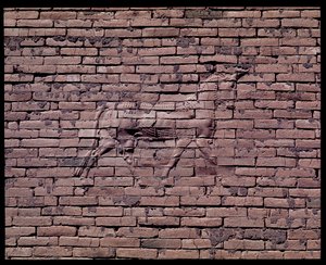 Detail of a bull, relief of the Ishtar gate, 580 BC by Babylonian