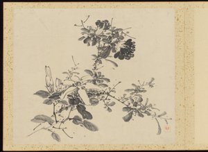 Refined Elegance in the Four Seasons, Album of Flower Paintings by Baiitsu Yamamoto