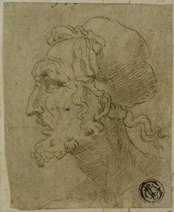 Male Head in Profile by Baldassare Peruzzi