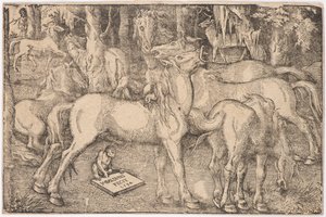 Group of Seven Horses, 1534 by Baldung