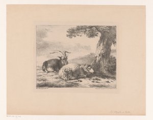 Goat and Sheep by Balthasar Paul Ommeganck