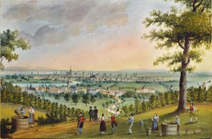Grape Harvest Festival in the Vineyards Above Heiligenstadt, Overlooking Vienna