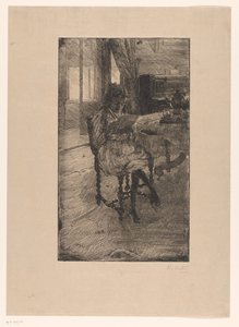 Young Woman Reading