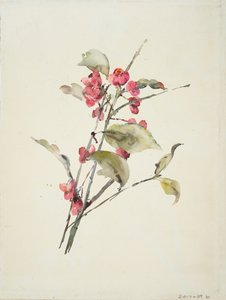 Pink Flowers