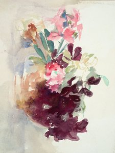 Pink and Purple Flowers
