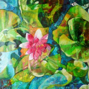 Pink Water Lily Pond