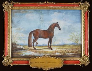 No. 2 Alzan de Tunis, a Barbary Horse of the Spanish Riding School
