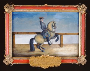 No. 45 A Horse of the Spanish Riding School Performing a Dressage Movement Called the Courbette