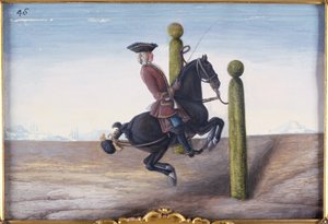 No. 46 A Bay Horse of the Spanish Riding School Performing a Dressage Movement Called the Croupade