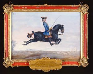 No. 50 A Jet Black Horse Called Curioso Performing a Dressage Movement Called a Capriole