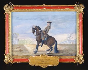 No. 54 A Danish Chestnut Bay Horse of the Spanish Riding School Performing a Dressage Movement