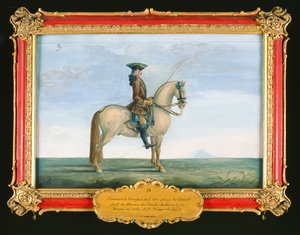 No. 9 A Grey Horse of the Spanish Riding School, from the Stud of the Count of Kaunitz in Bohemia
