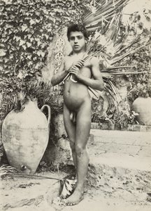 Boy in Garden by Baron Wilhelm von Gloeden