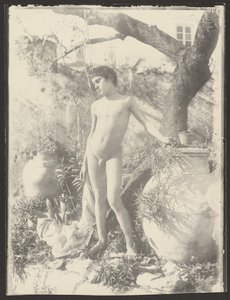 Nude Youth in Garden by Baron Wilhelm von Gloeden