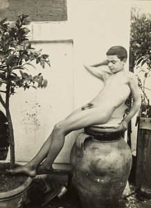 Nude Youth in Garden