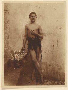 Youth with Lilies by Baron Wilhelm von Gloeden