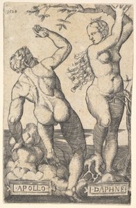 Apollo and Daphne (reverse copy) by Barthel Beham