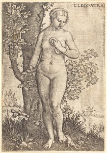 Cleopatra by Barthel Beham