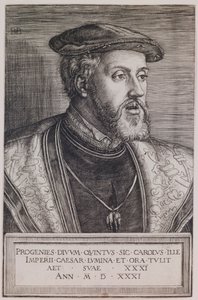 Emperor Charles V by Barthel Beham